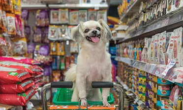 Pet Store – Double sided reward